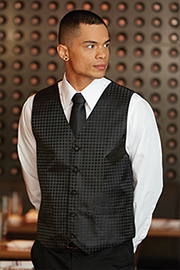 Mens Brocade Vest: Polka Dot