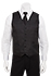 Mens Brocade Vest: Polka Dot - back view